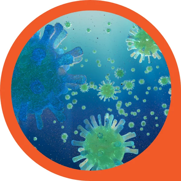 Infection Control Nurse 2